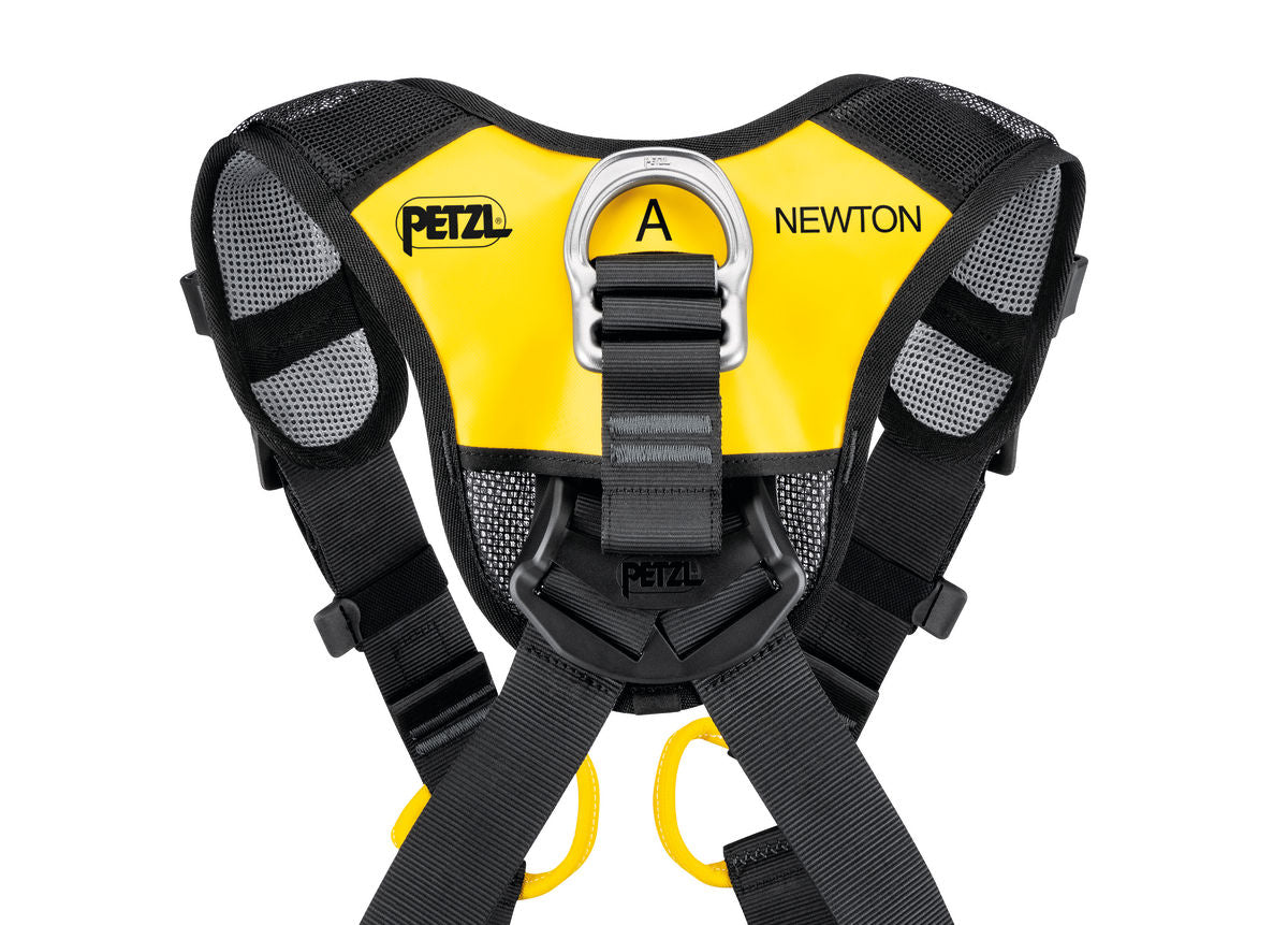 Newton Fast International Version
