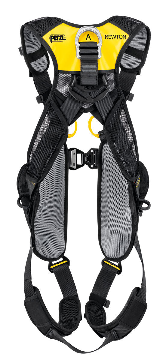 Newton Easyfit International Version