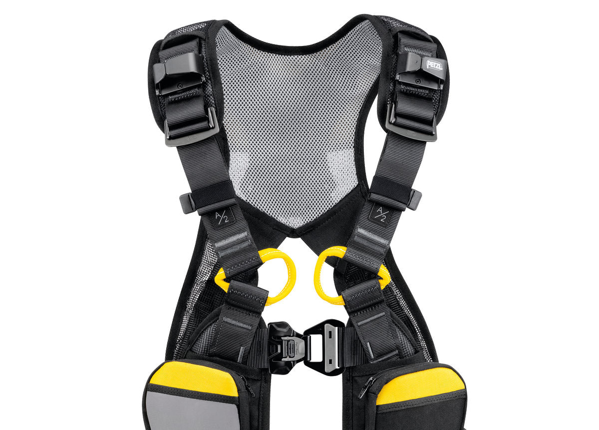 Newton Easyfit International Version