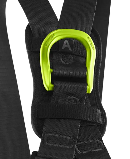 Radialis Air and Air Junior